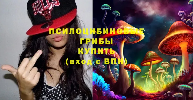 сколько стоит  Беслан  Галлюциногенные грибы MAGIC MUSHROOMS 